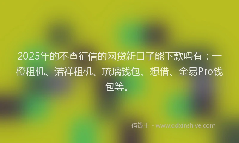 2025年的不查征信的网贷新口子能下款吗有：一橙租机、诺祥租机、琉璃钱包、想借、金易Pro钱包等。