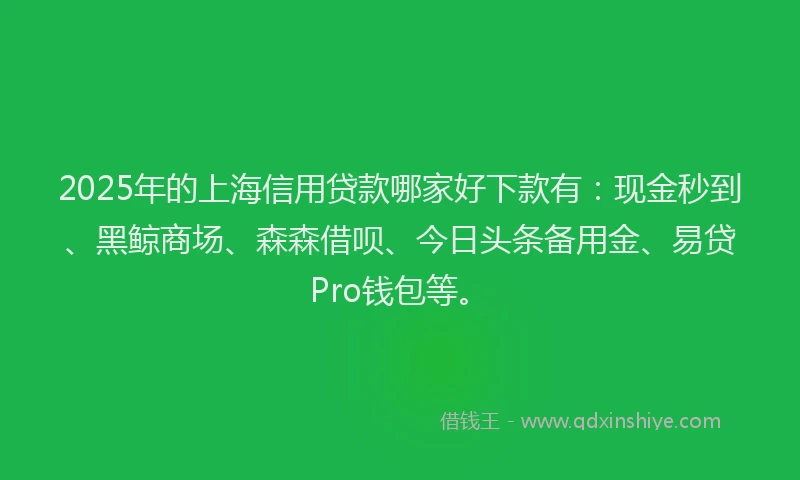 2025年的上海信用贷款哪家好下款有:现金秒到、黑鲸商场、森森借呗、今日头条备用金、易贷Pro钱包等。