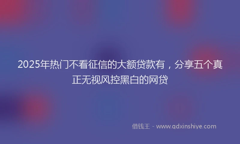 2025年热门不看征信的大额贷款有，分享五个真正无视风控黑白的网贷