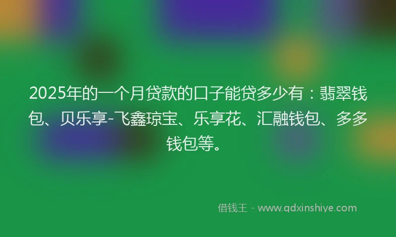 2025年的一个月贷款的口子能贷多少有：翡翠钱包、贝乐享-飞鑫琼宝、乐享花、汇融钱包、多多钱包等。