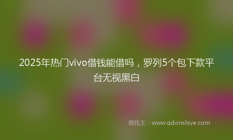 2025年热门vivo借钱能借吗，罗列5个包下款平台无视黑白