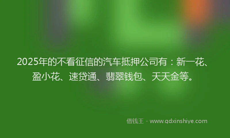 2025年的不看征信的汽车抵押公司有：新一花、盈小花、速贷通、翡翠钱包、天天金等。