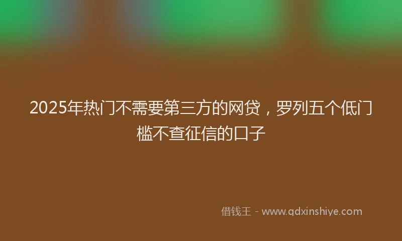 2025年热门不需要第三方的网贷，罗列五个低门槛不查征信的口子