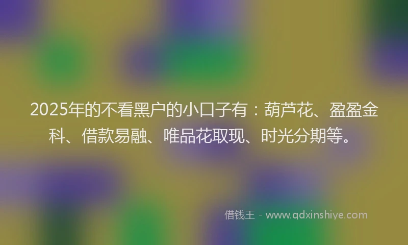 2025年的不看黑户的小口子有：葫芦花、盈盈金科、借款易融、唯品花取现、时光分期等。