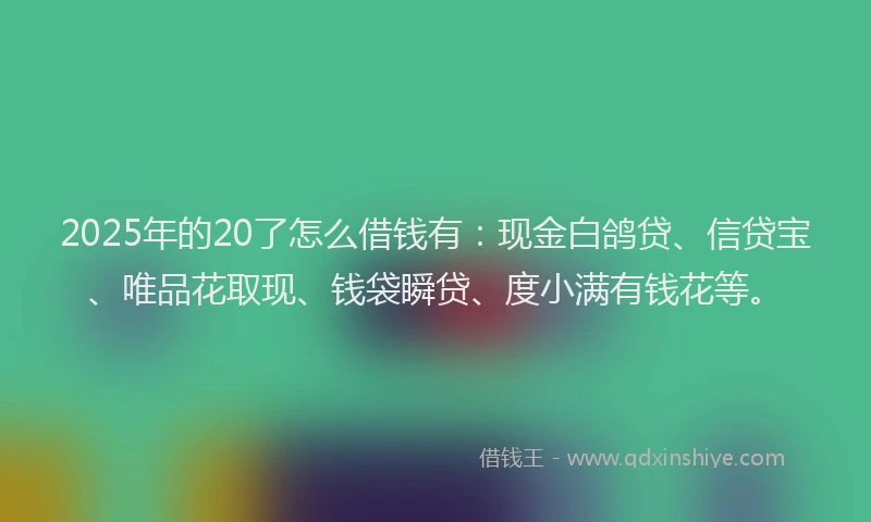 2025年的20了怎么借钱有：现金白鸽贷、信贷宝、唯品花取现、钱袋瞬贷、度小满有钱花等。