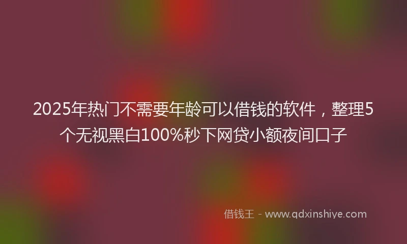 2025年热门不需要年龄可以借钱的软件，整理5个无视黑白100%秒下网贷小额夜间口子