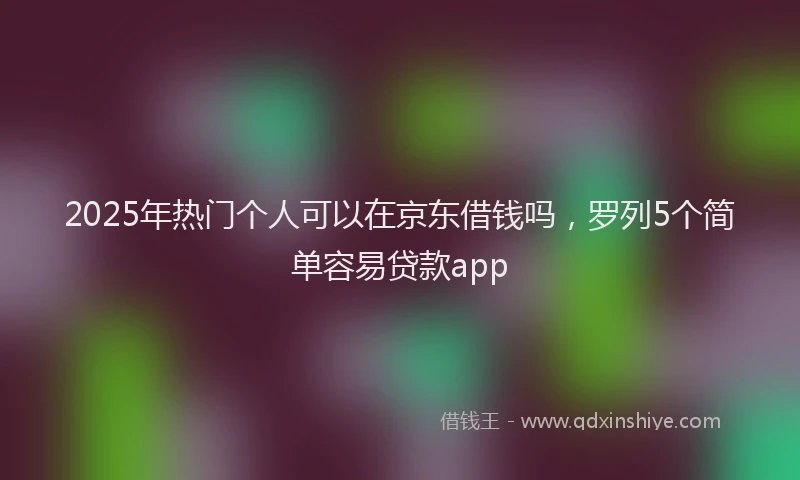 2025年热门个人可以在京东借钱吗，罗列5个简单容易贷款app