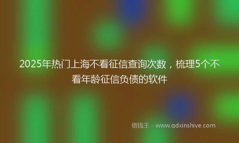 2025年热门上海不看征信查询次数，梳理5个不看年龄征信负债的软件