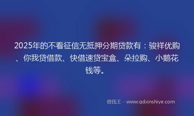 2025年的不看征信无抵押分期贷款有:骏祥优购、你我贷借款、快借速贷宝盒、朵拉购、小鹅花钱等。