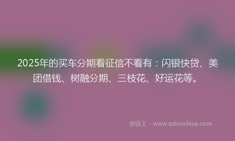 2025年的买车分期看征信不看有：闪银快贷、美团借钱、树融分期、三枝花、好运花等。
