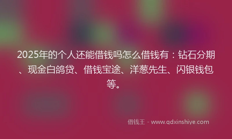 2025年的个人还能借钱吗怎么借钱有：钻石分期、现金白鸽贷、借钱宝途、洋葱先生、闪银钱包等。