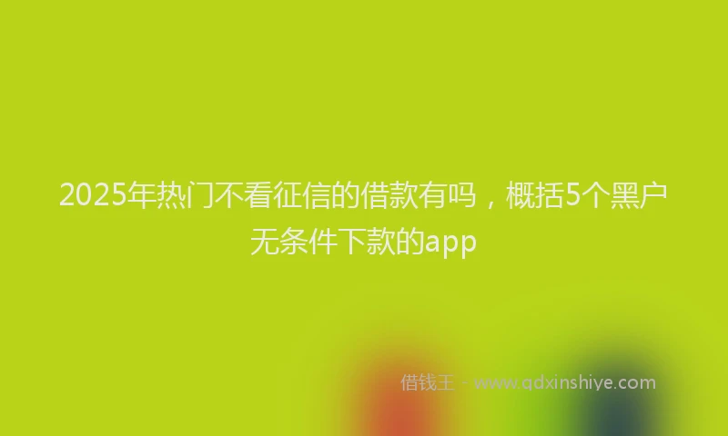 2025年热门不看征信的借款有吗，概括5个黑户无条件下款的app