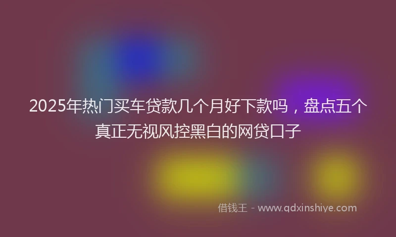 2025年热门买车贷款几个月好下款吗，盘点五个真正无视风控黑白的网贷口子