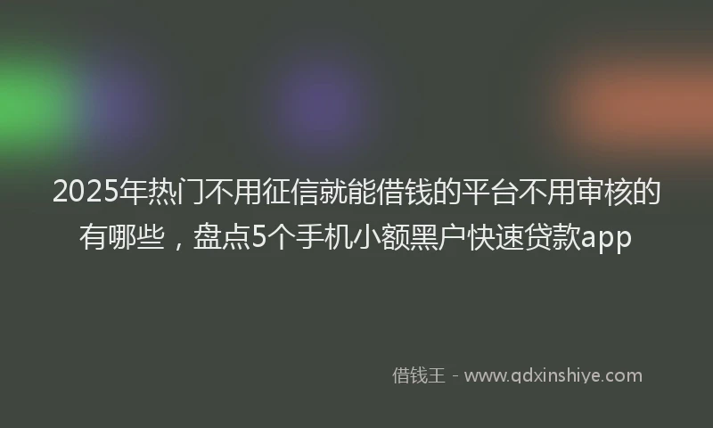 2025年热门不用征信就能借钱的平台不用审核的有哪些，盘点5个手机小额黑户快速贷款app