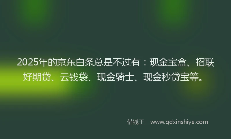 2025年的京东白条总是不过有：现金宝盒、招联好期贷、云钱袋、现金骑士、现金秒贷宝等。