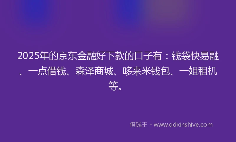 2025年的京东金融好下款的口子有：钱袋快易融、一点借钱、森泽商城、哆来米钱包、一姐租机等。