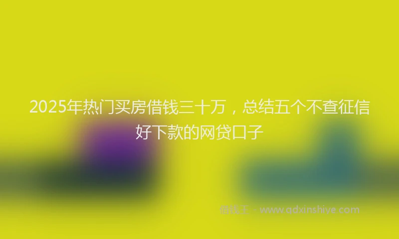 2025年热门买房借钱三十万，总结五个不查征信好下款的网贷口子