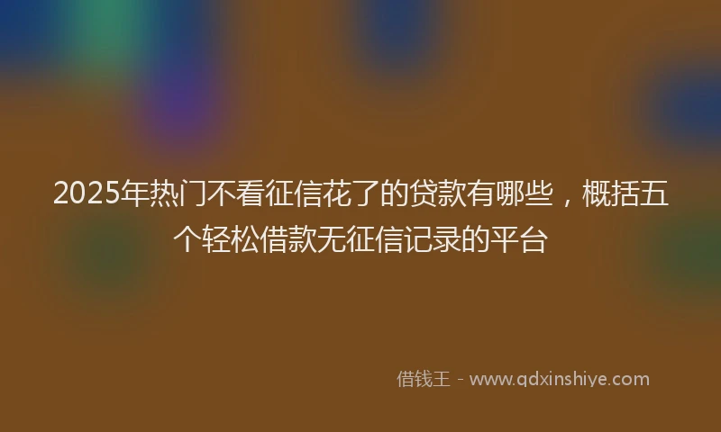 2025年热门不看征信花了的贷款有哪些，概括五个轻松借款无征信记录的平台