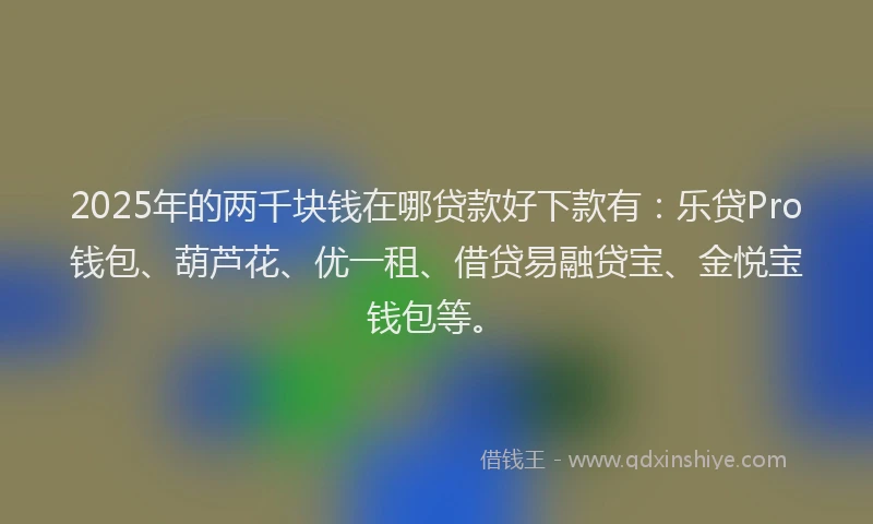 2025年的两千块钱在哪贷款好下款有：乐贷Pro钱包、葫芦花、优一租、借贷易融贷宝、金悦宝钱包等。