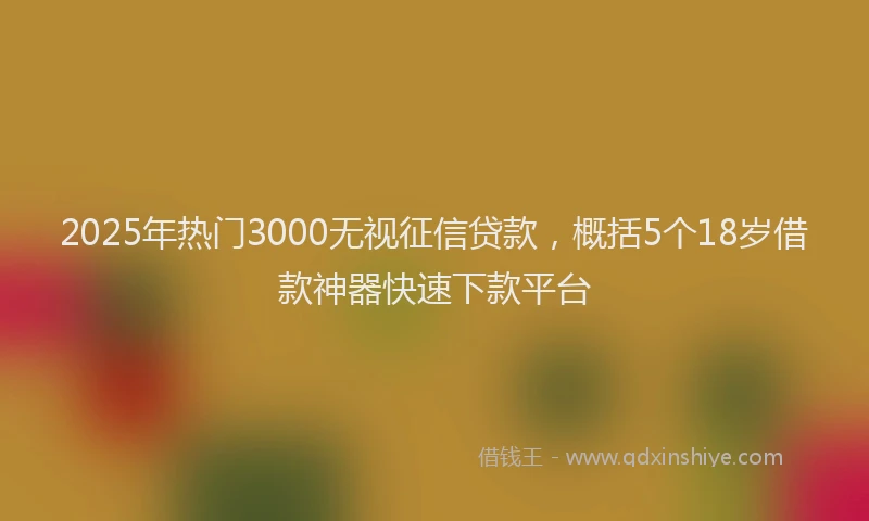 2025年热门3000无视征信贷款，概括5个18岁借款神器快速下款平台