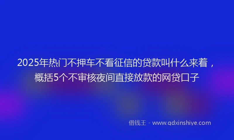 2025年热门不押车不看征信的贷款叫什么来着，概括5个不审核夜间直接放款的网贷口子