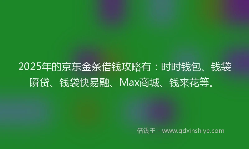 2025年的京东金条借钱攻略有：时时钱包、钱袋瞬贷、钱袋快易融、Max商城、钱来花等。