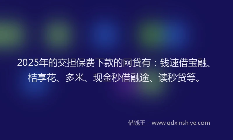 2025年的交担保费下款的网贷有：钱速借宝融、桔享花、多米、现金秒借融途、读秒贷等。