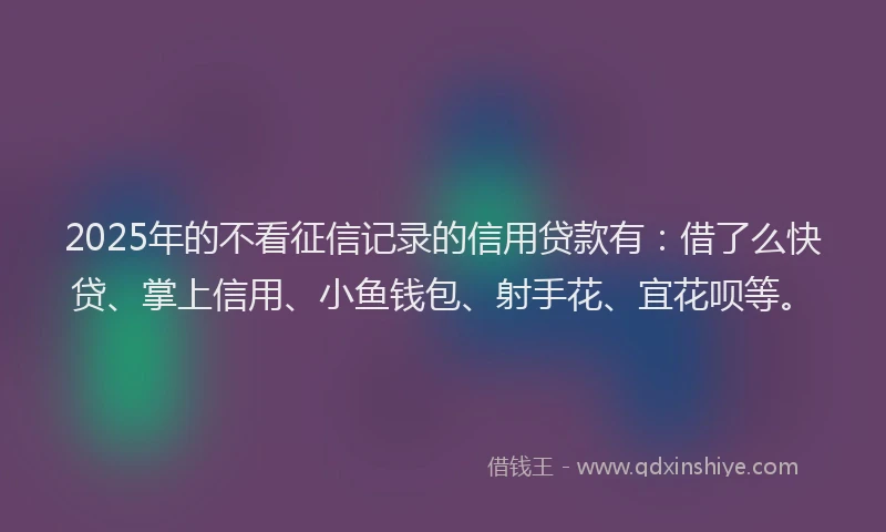 2025年的不看征信记录的信用贷款有：借了么快贷、掌上信用、小鱼钱包、射手花、宜花呗等。