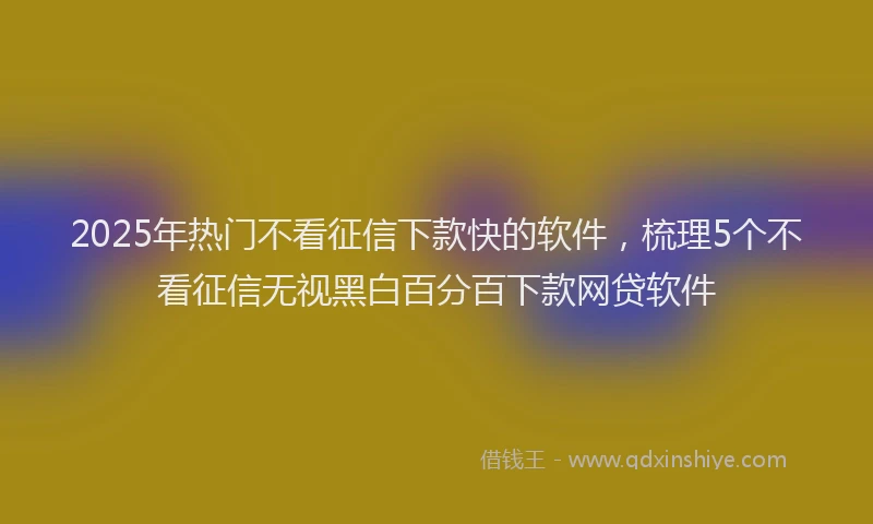 2025年热门不看征信下款快的软件，梳理5个不看征信无视黑白百分百下款网贷软件