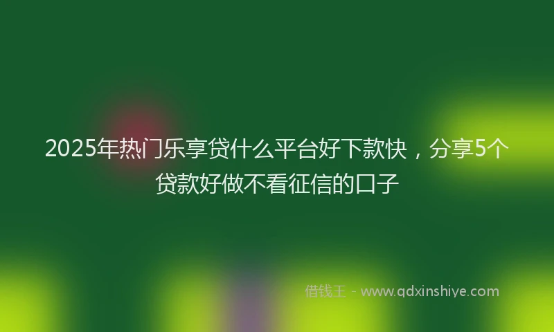 2025年热门乐享贷什么平台好下款快，分享5个贷款好做不看征信的口子
