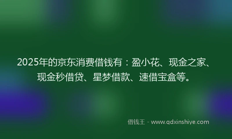 2025年的京东消费借钱有：盈小花、现金之家、现金秒借贷、星梦借款、速借宝盒等。