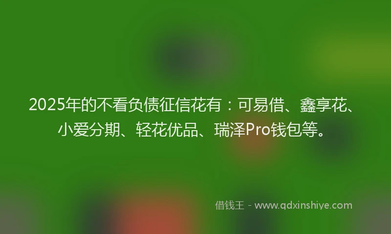 2025年的不看负债征信花有：可易借、鑫享花、小爱分期、轻花优品、瑞泽Pro钱包等。