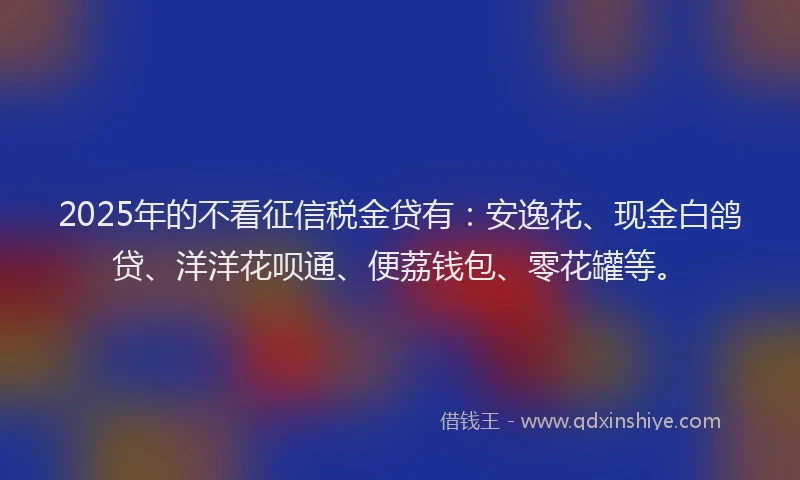 2025年的不看征信税金贷有：安逸花、现金白鸽贷、洋洋花呗通、便荔钱包、零花罐等。