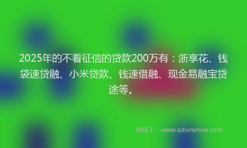 2025年的不看征信的贷款200万有：浙享花、钱袋速贷融、小米贷款、钱速借融、现金易融宝贷途等。