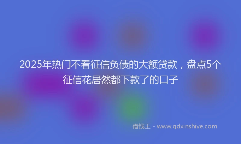 2025年热门不看征信负债的大额贷款，盘点5个征信花居然都下款了的口子