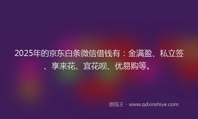 2025年的京东白条微信借钱有：金满盈、私立签、享来花、宜花呗、优易购等。