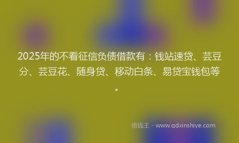2025年的不看征信负债借款有：钱站速贷、芸豆分、芸豆花、随身贷、移动白条、易贷宝钱包等。