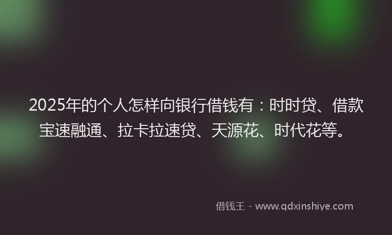 2025年的个人怎样向银行借钱有：时时贷、借款宝速融通、拉卡拉速贷、天源花、时代花等。