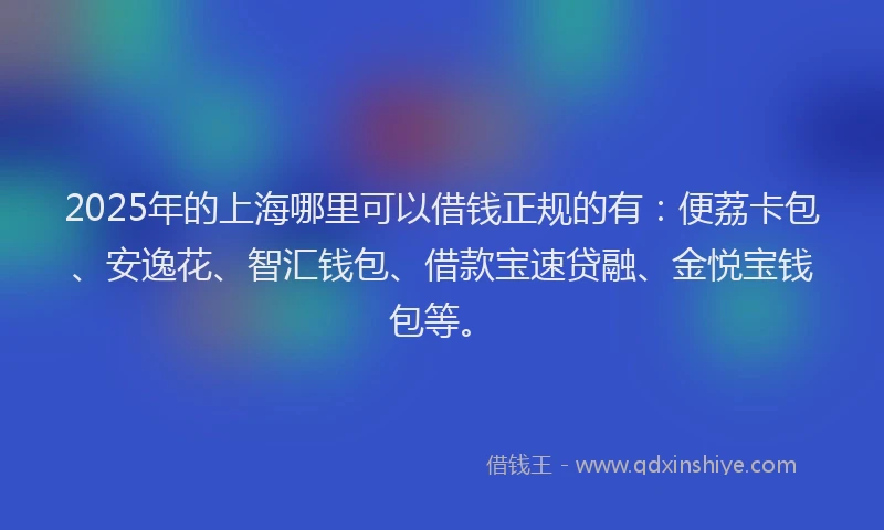 2025年的上海哪里可以借钱正规的有：便荔卡包、安逸花、智汇钱包、借款宝速贷融、金悦宝钱包等。