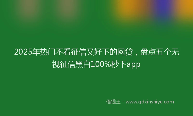 2025年热门不看征信又好下的网贷，盘点五个无视征信黑白100%秒下app