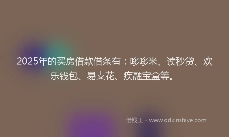 2025年的买房借款借条有：哆哆米、读秒贷、欢乐钱包、易支花、疾融宝盒等。