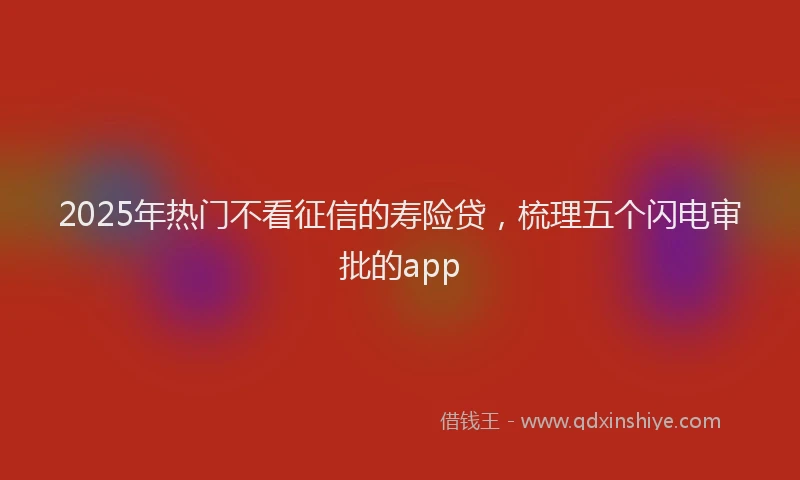 2025年热门不看征信的寿险贷，梳理五个闪电审批的app