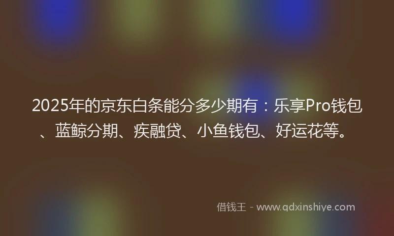 2025年的京东白条能分多少期有：乐享Pro钱包、蓝鲸分期、疾融贷、小鱼钱包、好运花等。