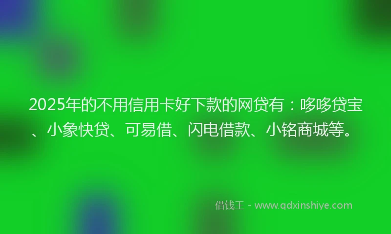 2025年的不用信用卡好下款的网贷有：哆哆贷宝、小象快贷、可易借、闪电借款、小铭商城等。