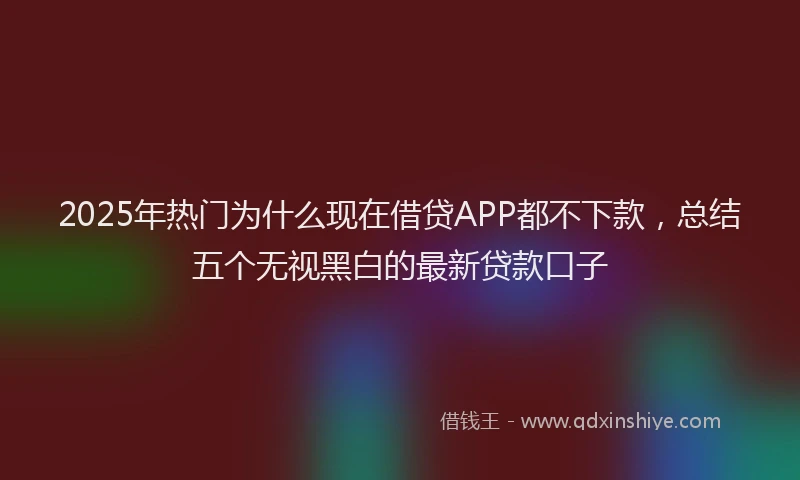 2025年热门为什么现在借贷APP都不下款，总结五个无视黑白的最新贷款口子