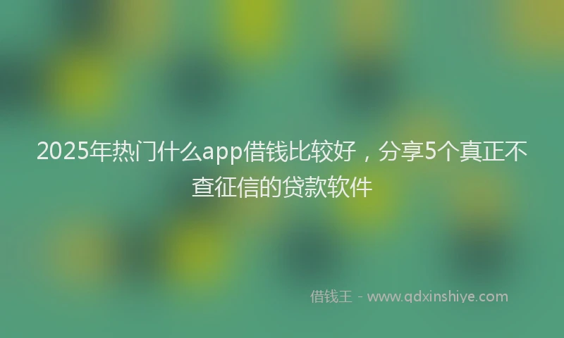 2025年热门什么app借钱比较好，分享5个真正不查征信的贷款软件