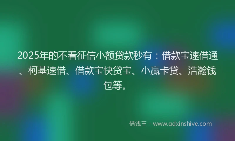 2025年的不看征信小额贷款秒有：借款宝速借通、柯基速借、借款宝快贷宝、小赢卡贷、浩瀚钱包等。