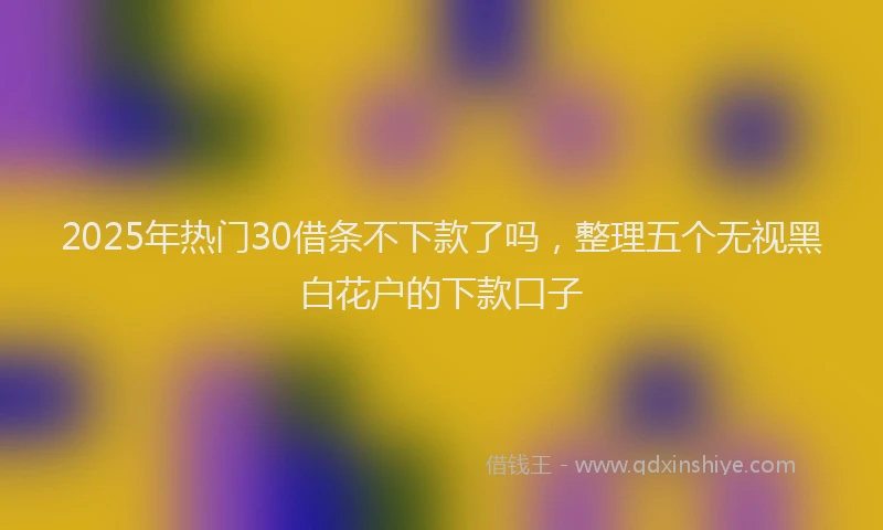 2025年热门30借条不下款了吗，整理五个无视黑白花户的下款口子
