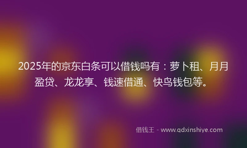 2025年的京东白条可以借钱吗有：萝卜租、月月盈贷、龙龙享、钱速借通、快鸟钱包等。