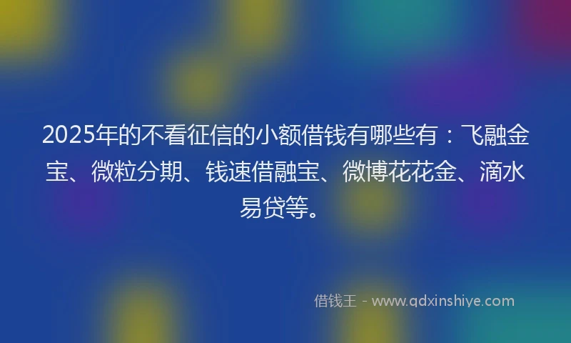 2025年的不看征信的小额借钱有哪些有：飞融金宝、微粒分期、钱速借融宝、微博花花金、滴水易贷等。